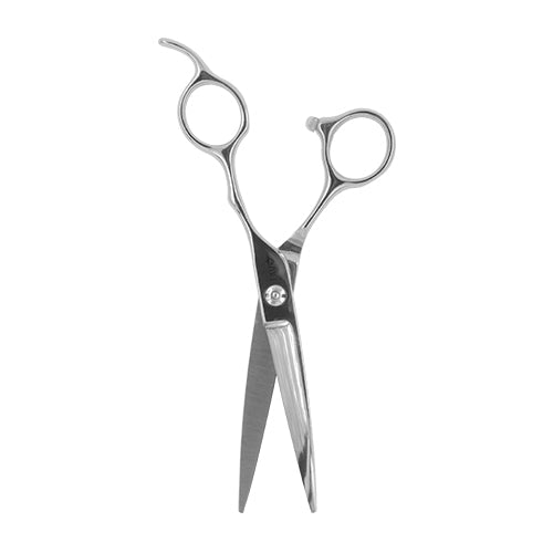 Professional Cutting Scissors 5.5 - 1