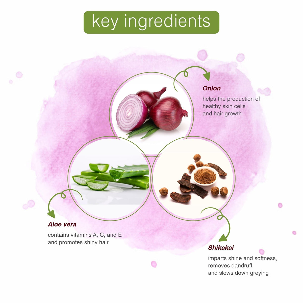 KT Professional Advanced Hair Care Organic Onion Shampoo - 250ml | Strengthens Hair, Promotes Growth & Reduces Hair Fall - 4