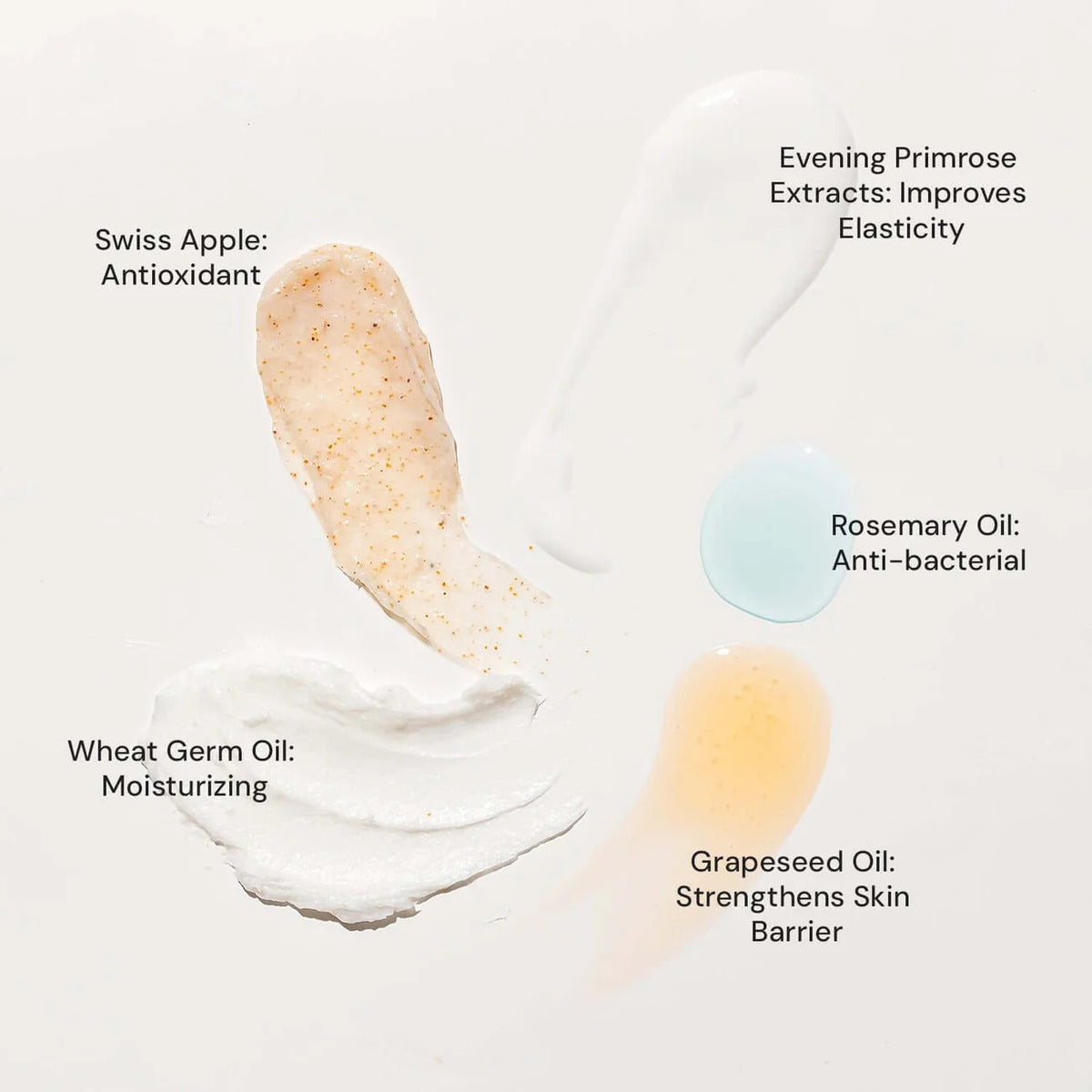 Raaga Professional Anti-Aging Stem Cells Facial Kit – 6 Step Complete Skincare with Evening Primrose & Swiss Apple Stem Cells | Restores Youthful Radiance – 61 gm - 5