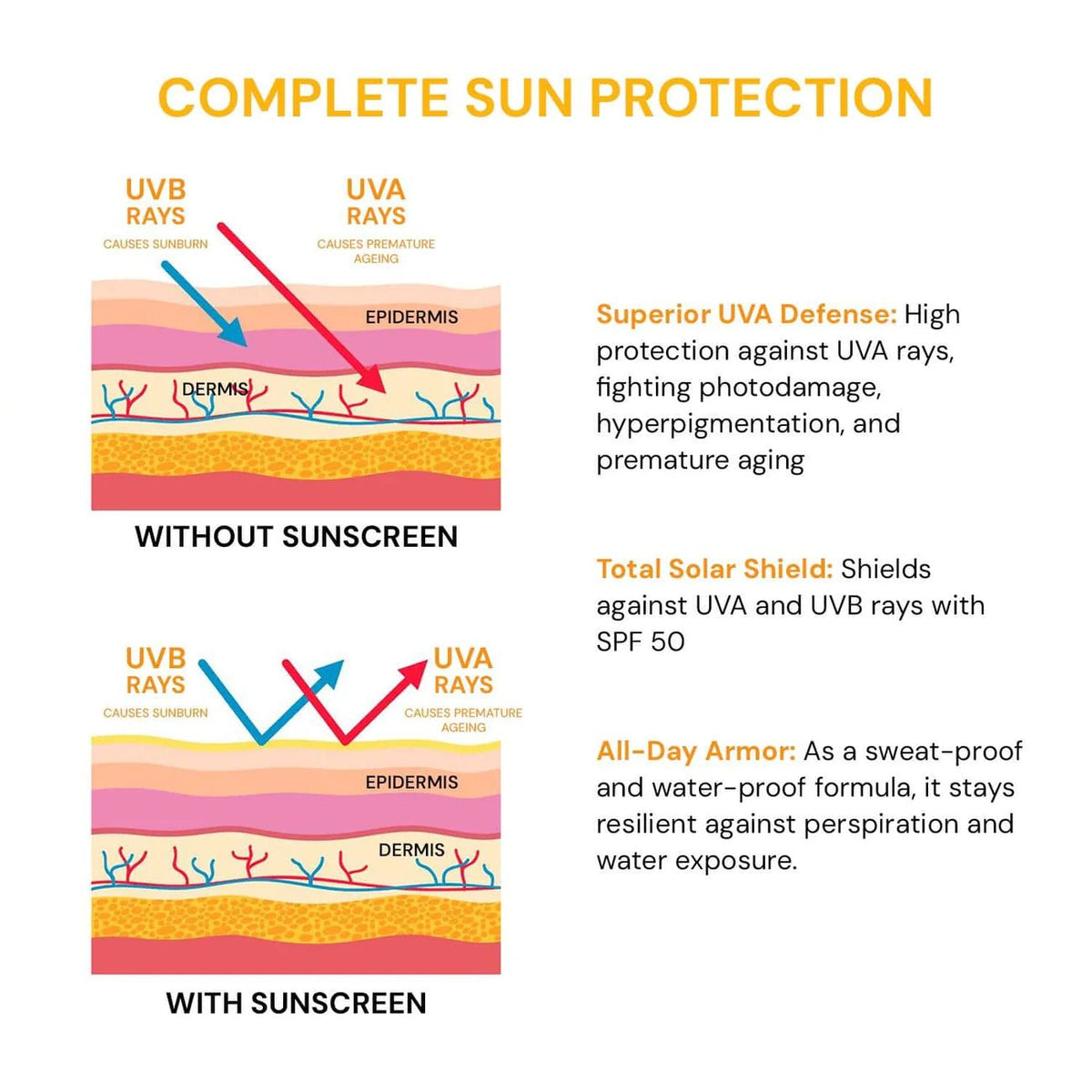 Raaga Professional SPF 50 Sunscreen Lotion | PA++++ | UVA + UVB Protection | Anti-Tan | Non-Greasy | Water & Sweat Proof | For All Skin Types – 55 ml - 6