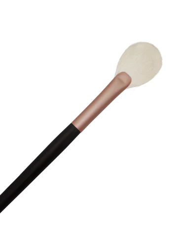 Ay.ty Pro Fan Brush - 3