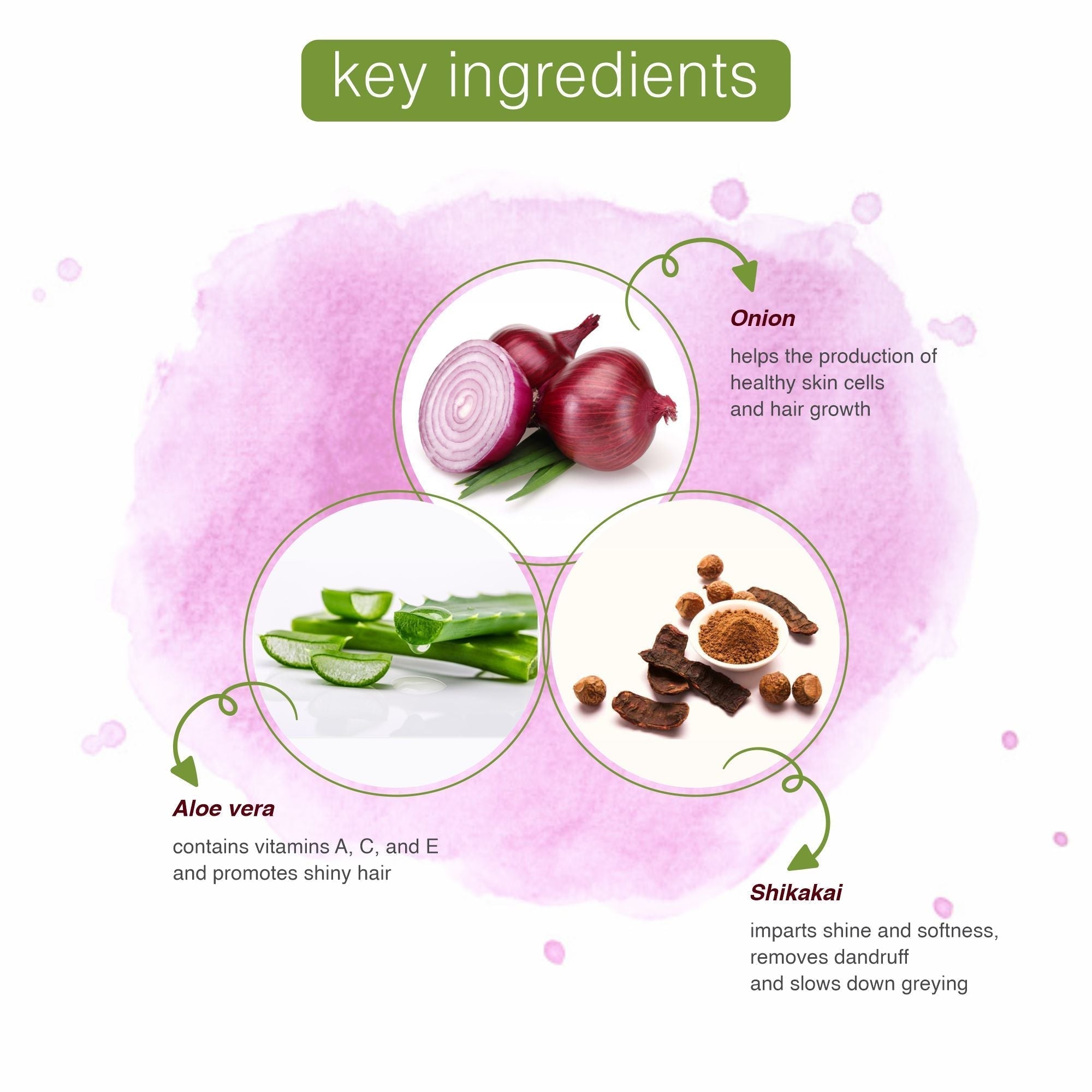 KT Professional Advanced Hair Care Organic Onion Shampoo - 250ml | Strengthens Hair, Promotes Growth & Reduces Hair Fall - 4
