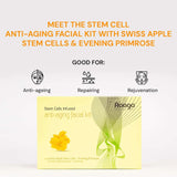 Raaga Professional Anti-Aging Stem Cells Facial Kit – 6 Step Complete Skincare with Evening Primrose & Swiss Apple Stem Cells | Restores Youthful Radiance – 61 gm - 3