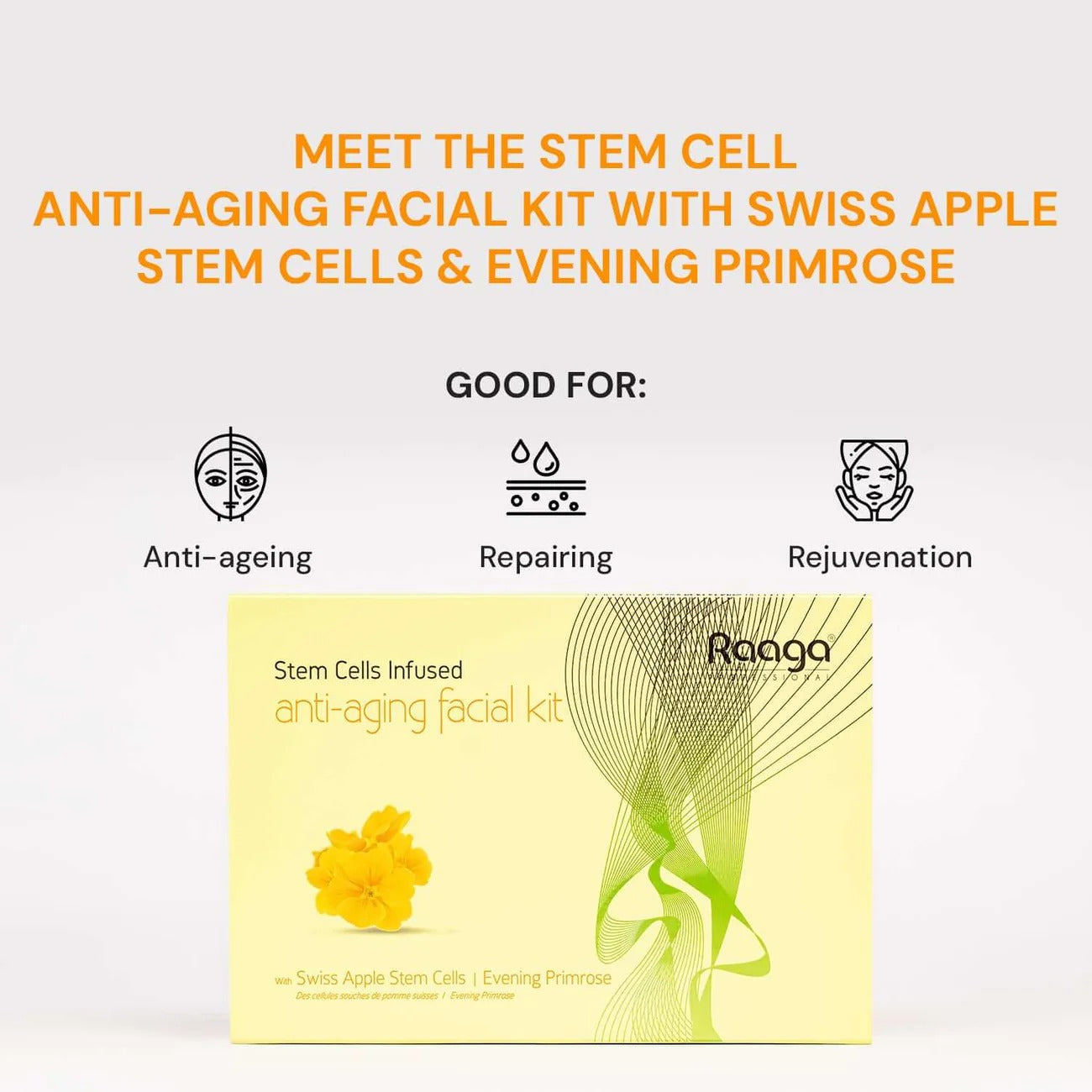 Raaga Professional Anti-Aging Stem Cells Facial Kit – 6 Step Complete Skincare with Evening Primrose & Swiss Apple Stem Cells | Restores Youthful Radiance – 61 gm - 3