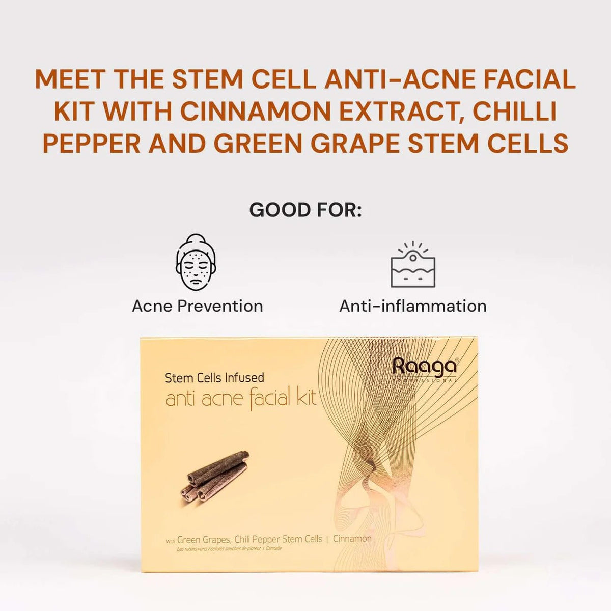 Raaga Professional Anti-Acne Stem Cells Facial Kit – 6 Step Advanced Treatment with Cinnamon, Green Grape & Chilli Pepper Stem Cells | Fights Inflammation & Clears Acne – 61 gm - 3
