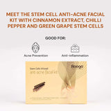 Raaga Professional Anti-Acne Stem Cells Facial Kit – 6 Step Advanced Treatment with Cinnamon, Green Grape & Chilli Pepper Stem Cells | Fights Inflammation & Clears Acne – 61 gm - 3