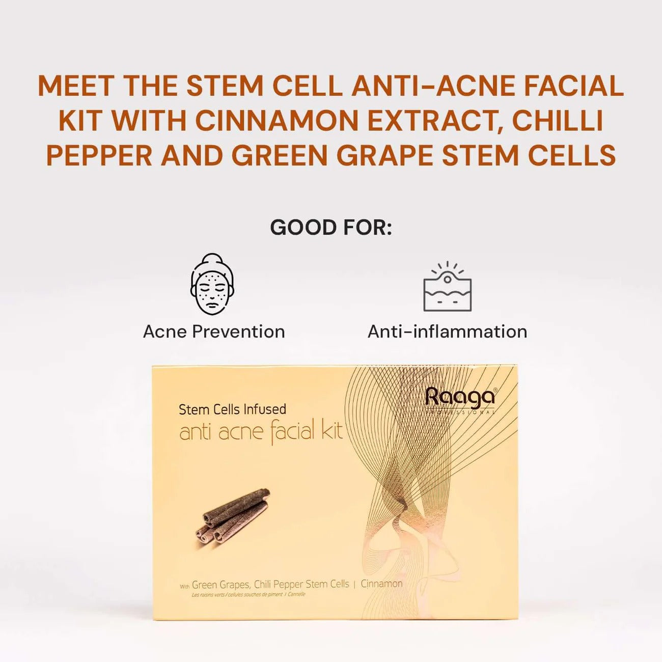 Raaga Professional Anti-Acne Stem Cells Facial Kit – 6 Step Advanced Treatment with Cinnamon, Green Grape & Chilli Pepper Stem Cells | Fights Inflammation & Clears Acne – 61 gm - 3