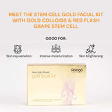 Raaga Professional Stem Cells Infused Gold Facial Kit – 6 Step Advanced Brightening Facial with Colloidal Gold & Red Flash Grape Stem Cells | Reduces Pigmentation & Boosts Radiance – 61 gm - 3