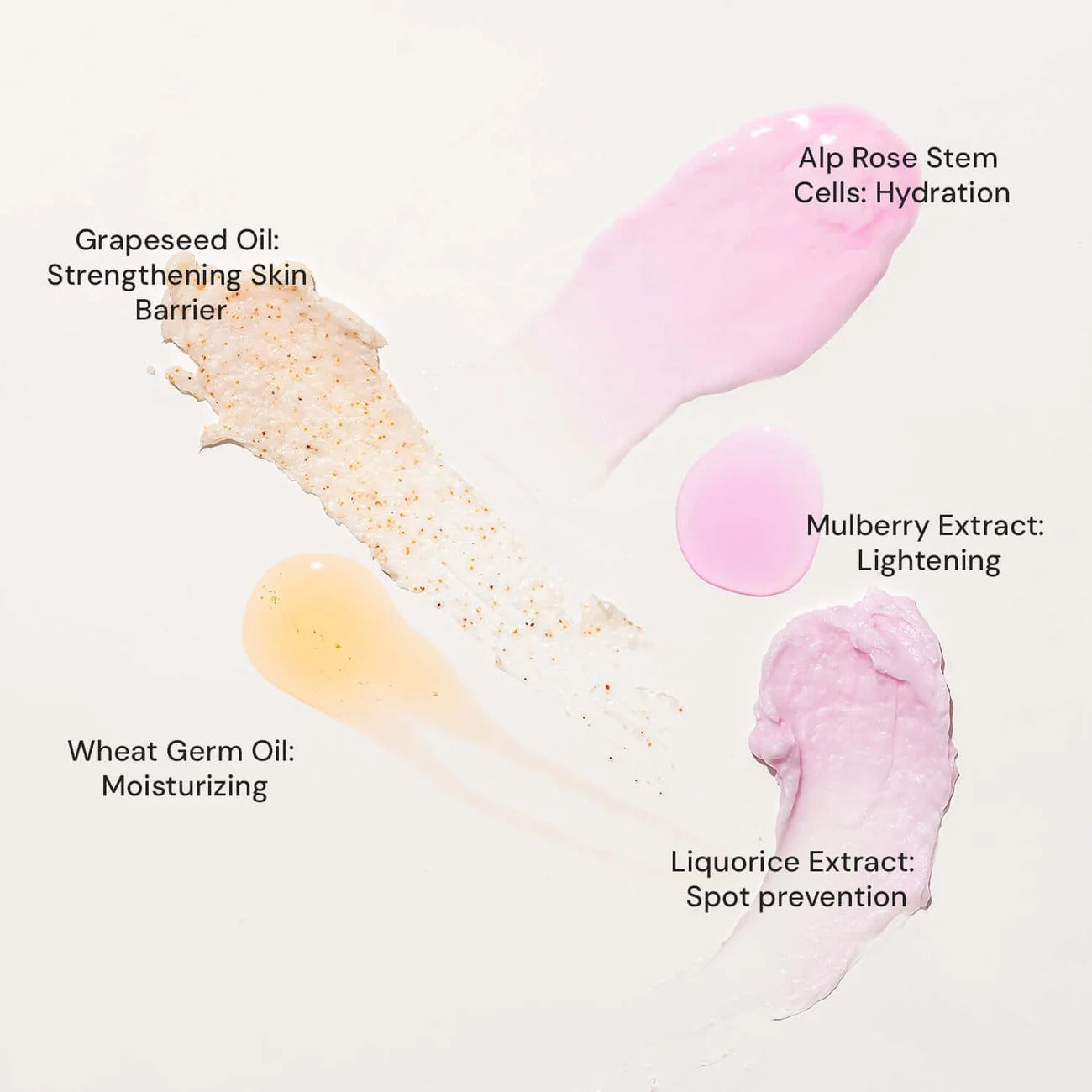 Brightening Power of Mulberry & Alp Rose Stem Cells - 5