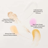 Raaga Professional Stem Cells Infused Gold Facial Kit – 6 Step Advanced Brightening Facial with Colloidal Gold & Red Flash Grape Stem Cells | Reduces Pigmentation & Boosts Radiance – 61 gm - 5