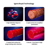 Schwarzkopf Professional Igora Royal Permanent Color Creme (6-0 Dark Blonde Natural) (60 ml) - 2
