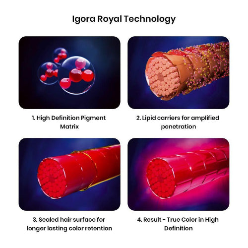 Schwarzkopf Professional Igora Royal Permanent Color Creme (1-0 Black) - 2