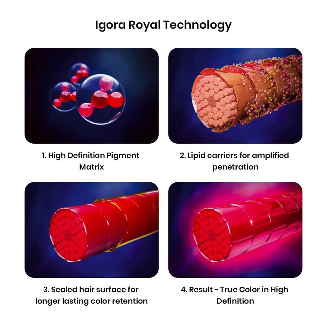 Schwarzkopf Professional Igora Royal Permanent Color Creme (5-57 Light Brown Gold Copper) - 2