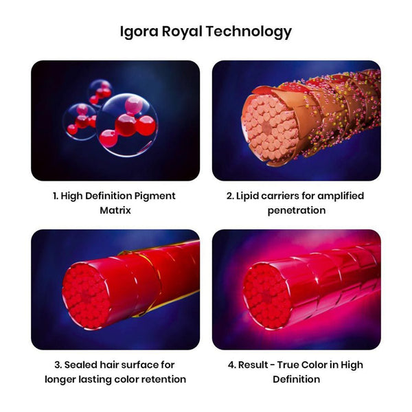 Schwarzkopf Professional Igora Royal Permanent Color Creme (8-77 Light Blonde Copper Extra) - 4